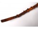 Cane monoxyle Popular Art carved wood Thorny Eve snake bishop 1882