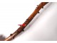 Cane monoxyle Popular Art carved wood Thorny Eve snake bishop 1882