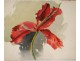 3 watercolor drawings bouquets flowers iris vase twentieth century