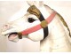 Carousel horse carved wooden polychrome 19th century