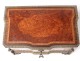 Inox tea box amber bronze loupe Martin Tiefenbruner Paris nineteenth