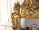 Large mirror Regency carved wood gilded painted colocynth flowers ice eighteenth