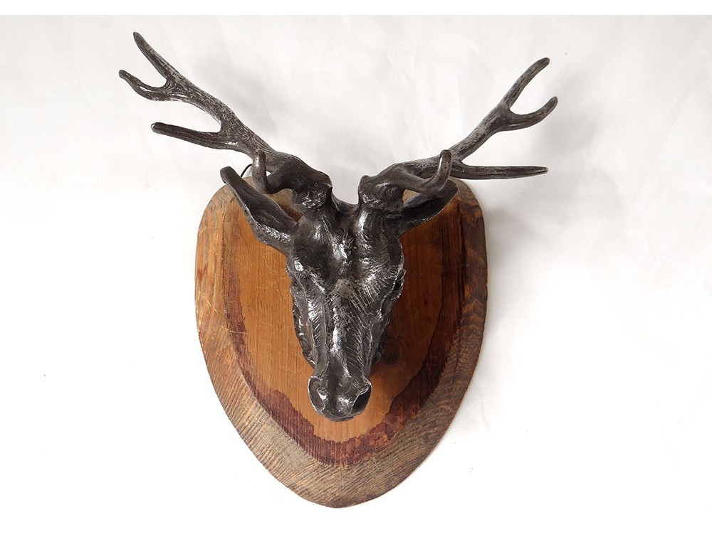 Trophée De Chasse - Cerf - Bois Naturel - Occasion