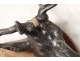 Hunting Trophy silver bronze sculpture deer head wood base nineteenth century