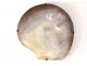 Mother-of-pearl shell souvenir Mont Saint-Michel Normandy seaside 19th century