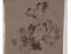 Drawing Study Charcoal Flowers 19th