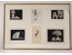 Set 6 drawings Mario Avati still life fan flowers characters twentieth