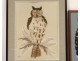 2 paintings collage feathers dried leaves owls Scarlet twentieth century