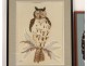 2 paintings collage feathers dried leaves owls Scarlet twentieth century