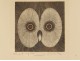 Original lithograph engraving Jean-Pierre Orinel tawny owl twentieth