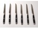 Set 24 knives ebony handle 6 blades silver ferrules shield XIXth