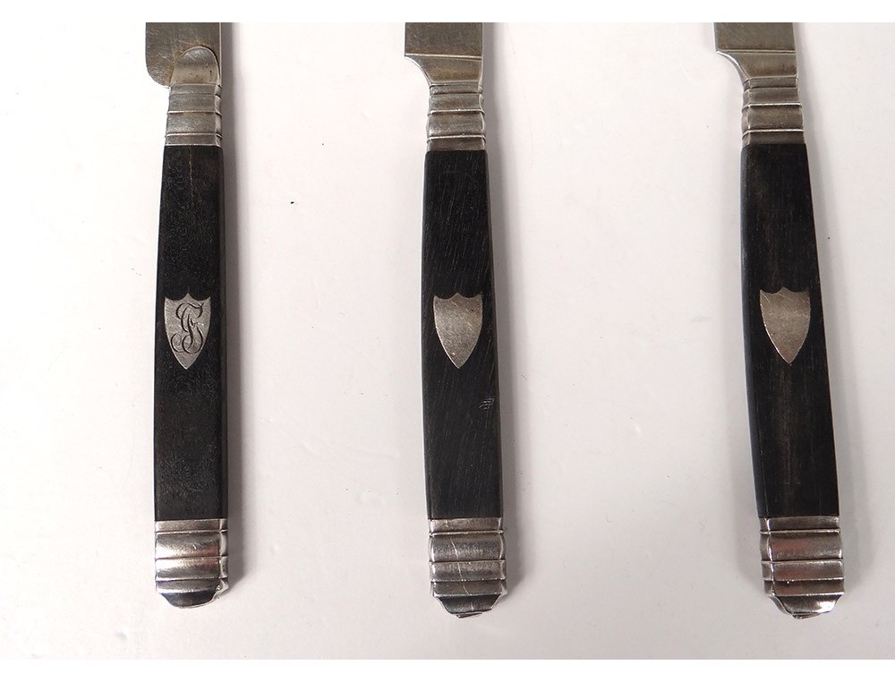 ANCIEN COFFRET 12 COUTEAUX TABLE ACIER VIROLE ARGENT MANCHE CORNE