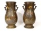 Pair of bronze vases Japan birds flowers katakiri bori shakudo Meiji nineteenth