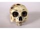 Netsuke Ivory Carved Skull Vanity Signed Shozan Japan Edo Skull Nineteenth Century