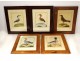 5 engravings birds Martinet Buffon Crabier Cayenne Harle Merle XIXth century