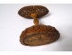 Box on foot corozo carved arabesque character foliage XIXth century