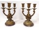 Pair candelabra 3 lights gilt bronze marble clogs Napoleon III XIXth century