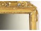 Mirror Louis XVI mirror carved wood frame gilded bird hunting flowers XVIII