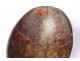 Carved half-coconut musical instruments attributes war 19th war