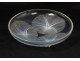 Opalescent glass bowl René Lalique France Volubilis model 20th century