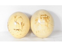 F30 956 egg