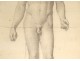 Naked man academy study pencil drawing signed Romieu XIXth century