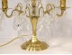 Pair of girandoles 2 lights with cut crystal pendants gilded bronze XIXth century