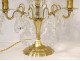 Pair of girandoles 2 lights with cut crystal pendants gilded bronze XIXth century