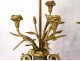 Pair of baluster vases, gilded bronze marble lamps, flowers Napoleon III nineteenth