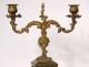 Pair of candelabra 2 lights Vernis Martin gilded bronze flowers late nineteenth