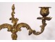 Pair of candelabra 2 lights Vernis Martin gilded bronze flowers late nineteenth