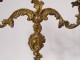 Pair of candelabra 2 lights Vernis Martin gilded bronze flowers late nineteenth