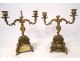 Pair of candelabra 2 lights Vernis Martin gilded bronze flowers late nineteenth