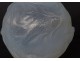 René Lalique opalescent glass ball vase formosa fish twentieth century