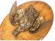 Hunting trophy bronze sculpture bird partridge nineteenth wood medallion