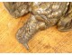 Hunting trophy bronze sculpture bird partridge nineteenth wood medallion