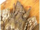 Hunting trophy bronze sculpture bird partridge nineteenth wood medallion