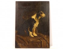 HSP painting portrait dog griffin signed Paul Avril XIXth century