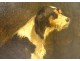 HSP painting portrait dog griffin signed Paul Avril XIXth century