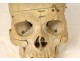 Human skull old medicine flayed anatomy Vanity articulated jaw 19th