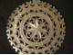 Carved mother-of-pearl jewel pendant openwork star foliage XIXth century