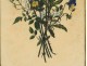 Watercolor bouquet flowers romantic golden frame garlands Empire nineteenth