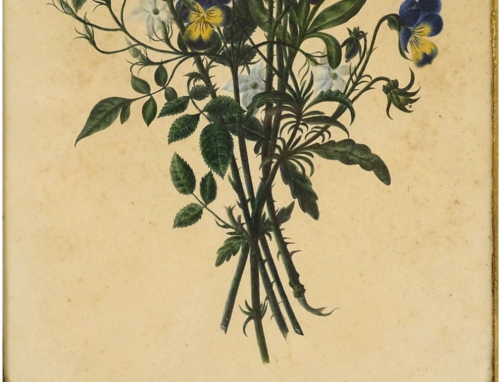 Bouquet Aquarelle De Fleurs Sauvages | Vecteur Premium