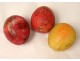 Set of 21 polychrome Carrara marble fruits, grapes, peaches, cherries, XIXth