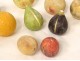 Set of 9 polychrome Carrara marble fruits apple peach fig pear nineteenth