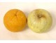 Set of 9 polychrome Carrara marble fruits apple peach fig pear nineteenth