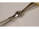 Salad tongs solid silver Minerva silversmith Queille XIXth century