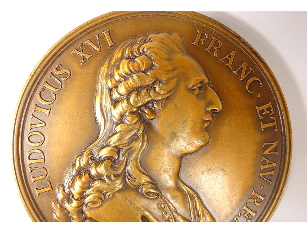 Médaille Napoléon Bonnaparte Place Bellecour – Anciennes Collections