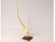 Sculpture deer horn Japan rat dormouse bamboo foliage XIXth century