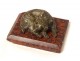 Small paperweight sculpture bronze dog lying red marble cherry nineteenth